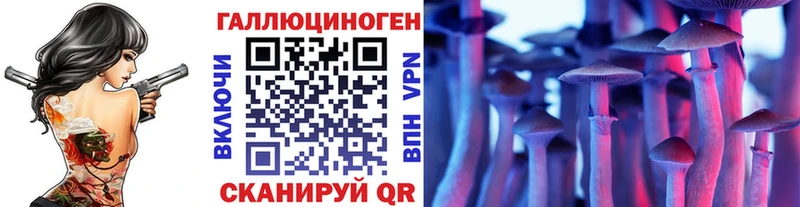 закладки  Богучар  Галлюциногенные грибы Psilocybe 